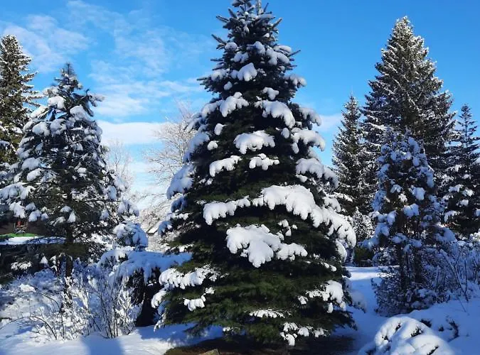 Dworek Nad Potokiem 카르파츠