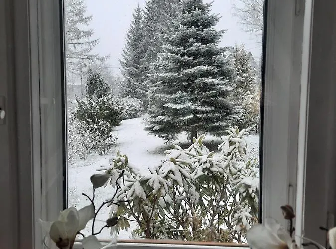 Dworek Nad Potokiem * 카르파츠