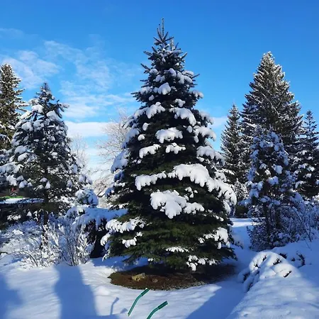 Dworek Nad Potokiem كارباش