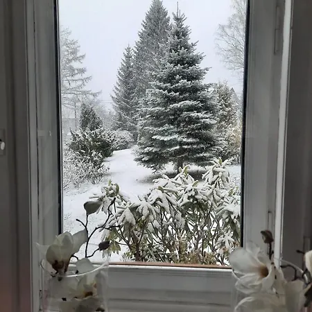 Dworek Nad Potokiem * كارباش