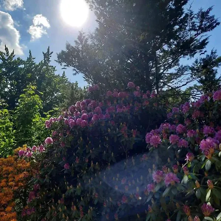 Dworek Nad Potokiem Semesterbostad Karpacz