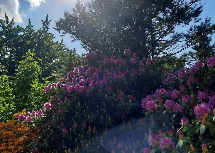 Dworek Nad Potokiem Casa de Férias Karpacz